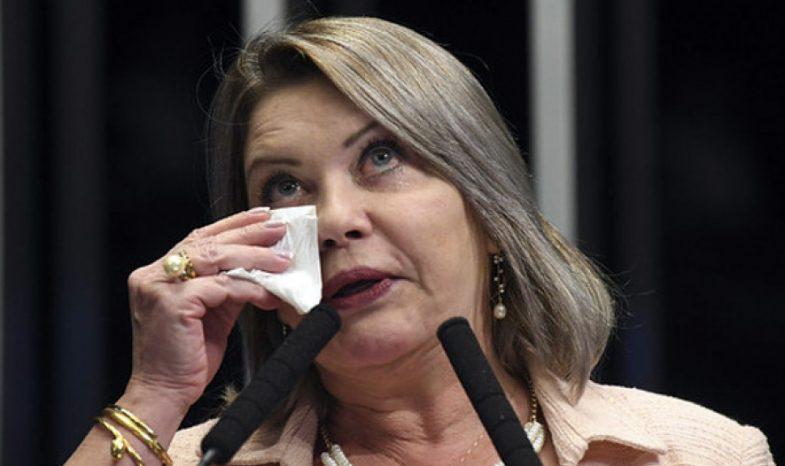 Eleições para o Senado será em novembro junto com as Eleições Municipais; Conheça os pré-candidatos