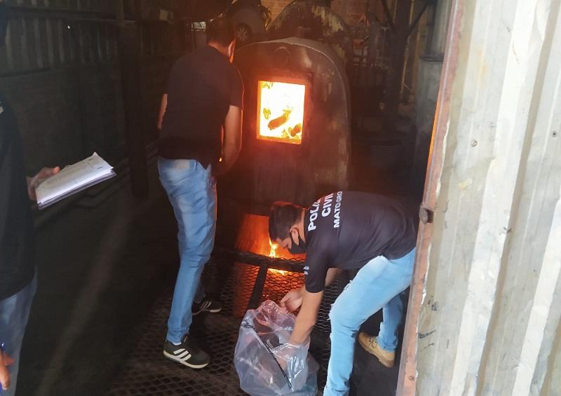 PJC incinera 50kg de entorpecentes em Sapezal