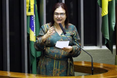 Rosa Neide destaca ADPF no Supremo para que União, MT e MS promovam ações preventivas contra incêndios no Pantanal
