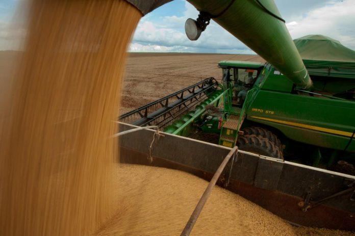 Agro de MT contribui para a produção sustentável do Brasil