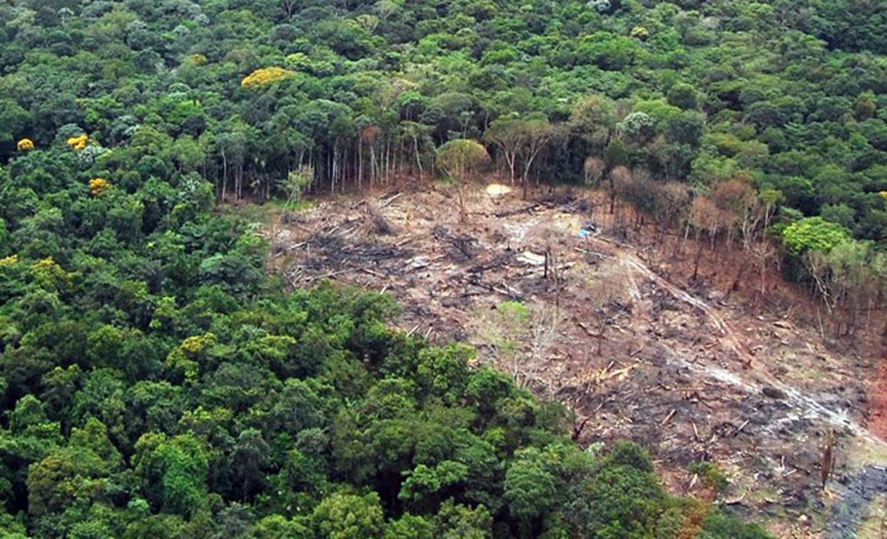 Desmatamento ameaça terras indígenas localizadas em Mato Grosso
