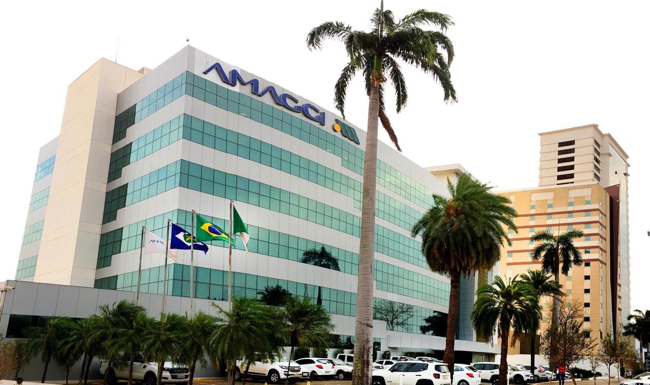 AMAGGI é líder pelo segundo ano consecutivo de ranking mundial por ações contra o desmatamento