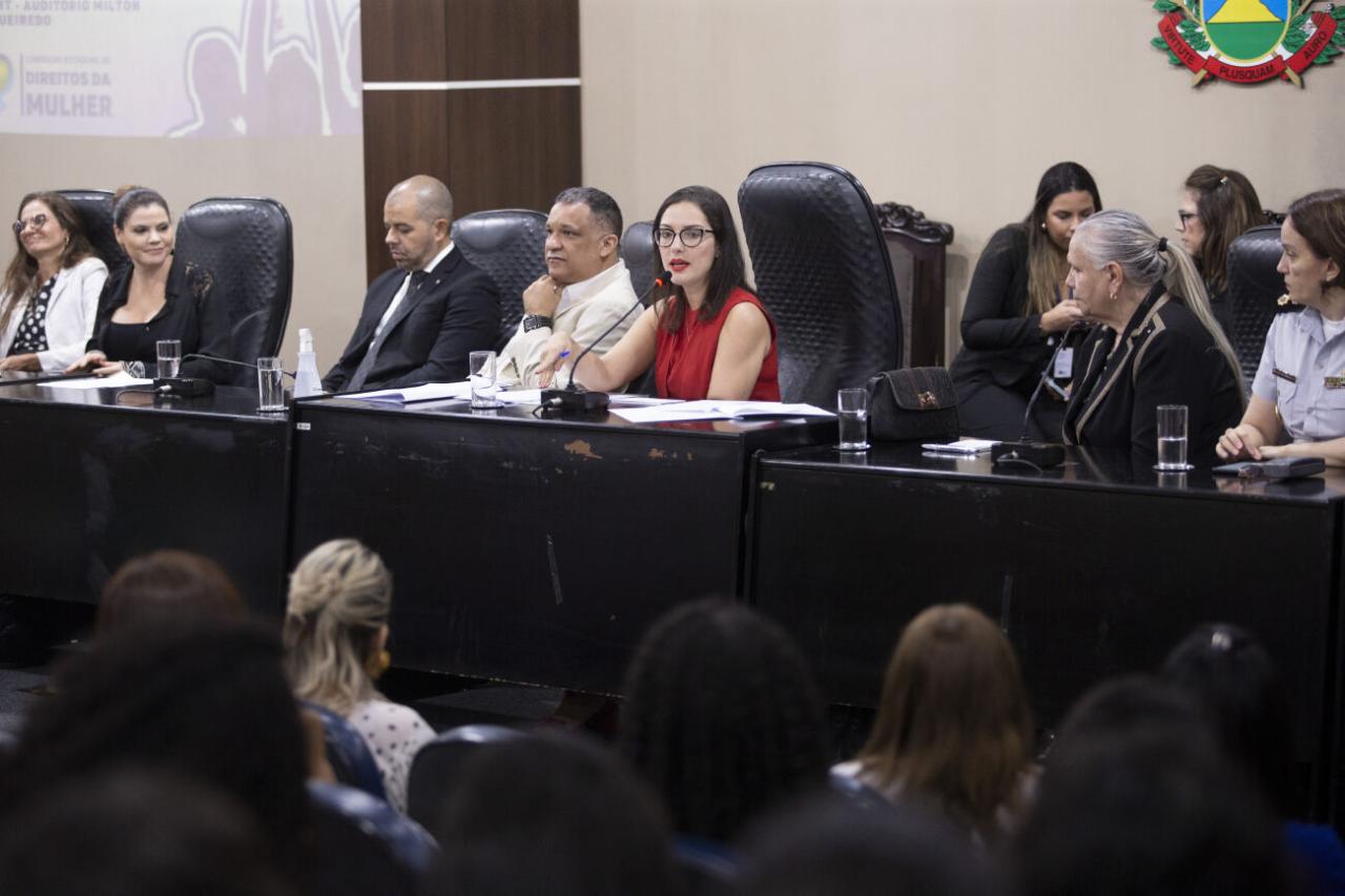 Audiência na AL discute violência contra mulher e criação de secretaria estadual das mulheres