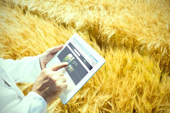 Marketplace voltado ao agronegócio movimentou US$28 bilhões em 2022 e faz planos para o futuro