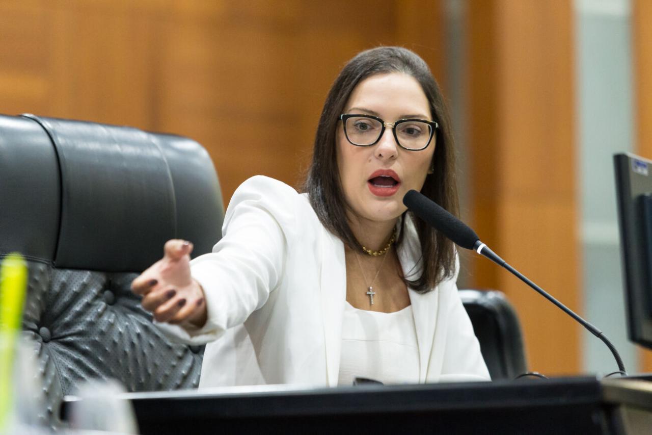 Janaina Riva determina formação da Comissão de Ética para julgar deputado Gilberto Cattani por ofensas a mulheres