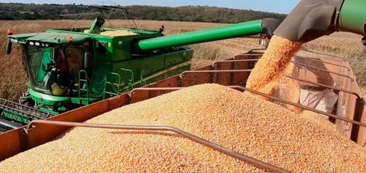 Sapezal é o 6º maior produtor de soja do país, Sorriso está em primeiro