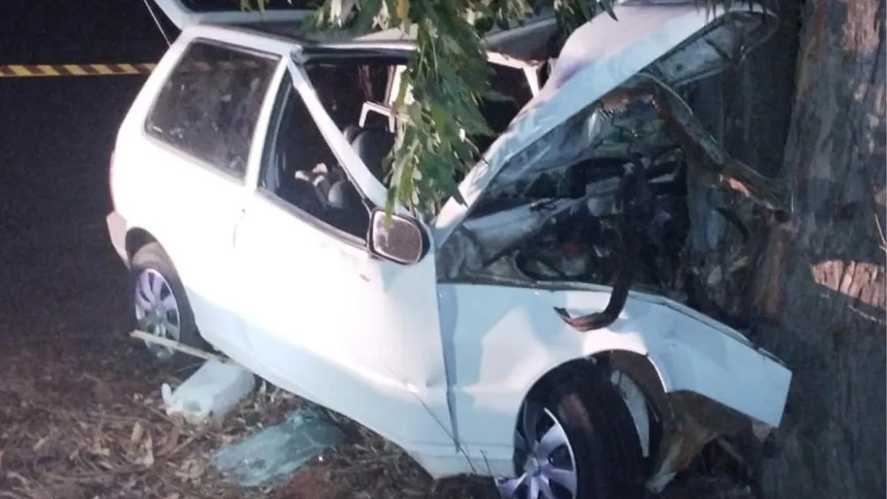 Duas pessoas morrem e uma fica ferida após carro atropelar anta em Mato Grosso