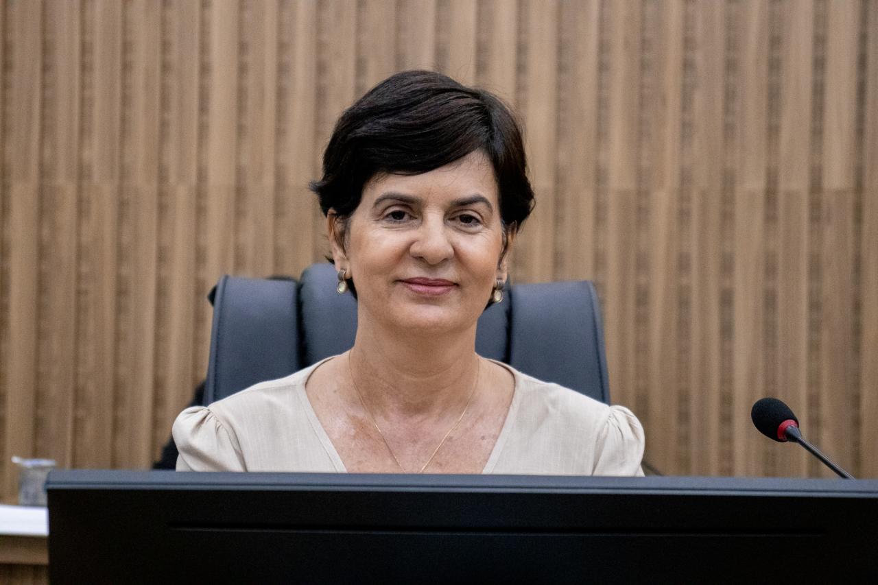 Zildinei Panta propõe pacote legislativo de combate à criminalidade em Sapezal