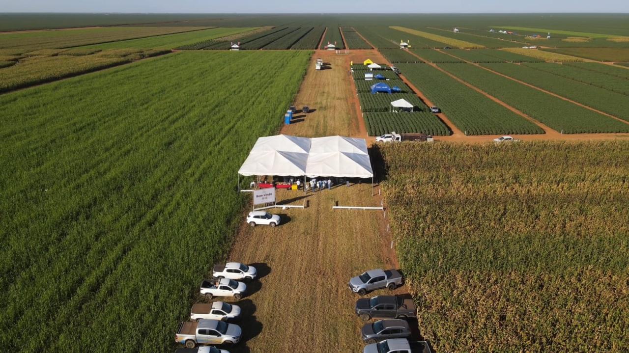 Fundação Mato Grosso apresenta soluções e resultados da safra de algodão aos agricultores do oeste de MT