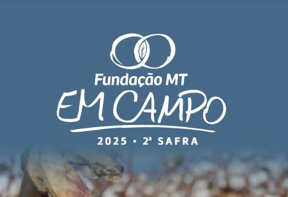 Fundação MT promove evento “Em Campo” com foco na 2ª safra de algodão 2025