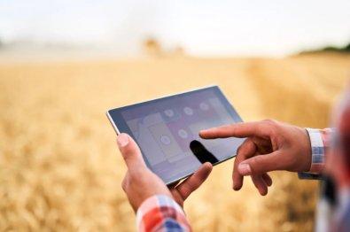 Produtor rural de Mato Grosso acusa ex-deputado e dois sócios de calote milionário de R$ 50 milhões