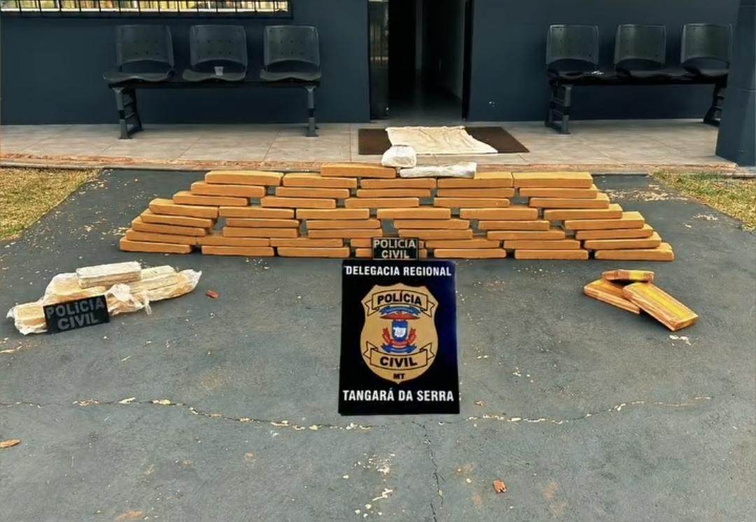 Polícia Civil apreende grande carregamento de drogas na BR-364 em Sapezal
