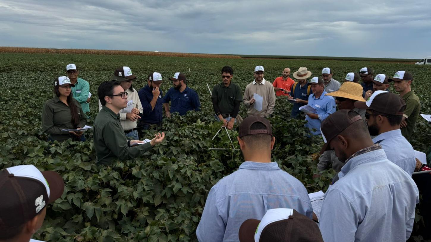 Cotton Day reúne produtores e especialistas em Sapezal para debater produtividade na cotonicultura