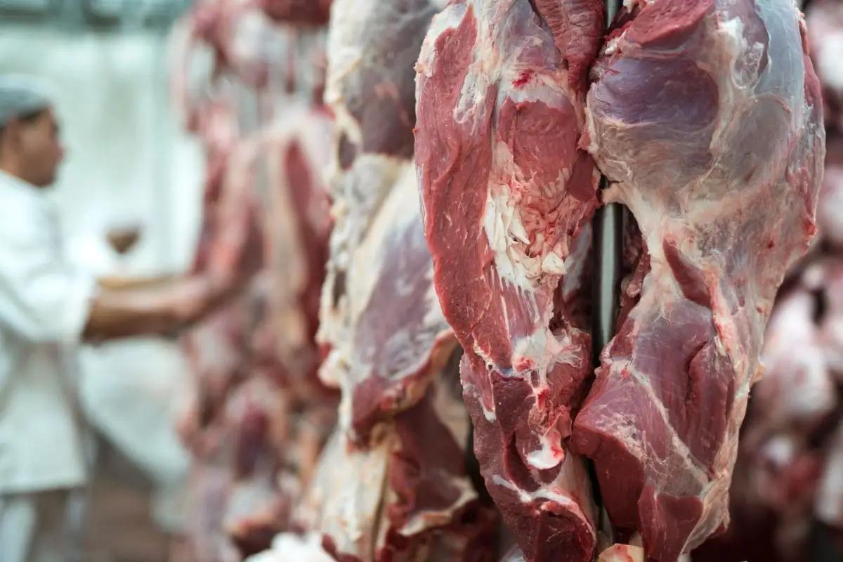 Média diária das exportações de carne bovina cai 26% em agosto; China concentra mais da metade das vendas de MT