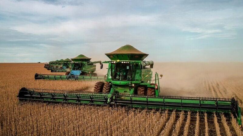 Sapezal supera Sorriso e assume liderança nacional em valor da produção agrícola