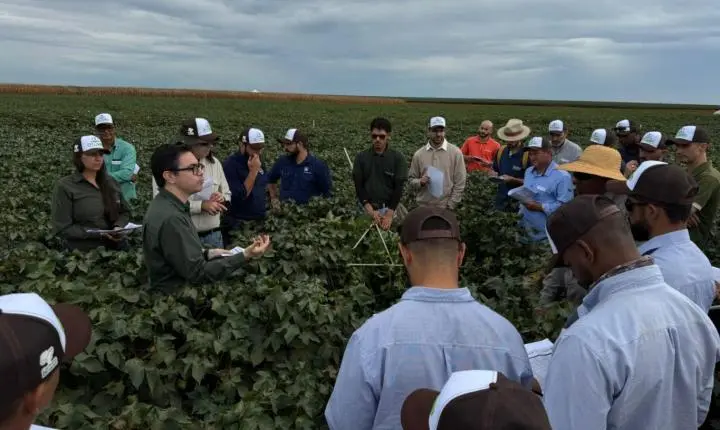 Cotton Day reúne produtores e especialistas em Sapezal para debater produtividade na cotonicultura