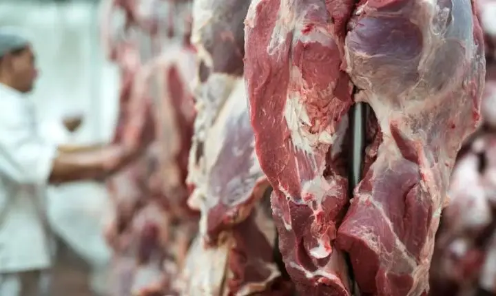 Média diária das exportações de carne bovina cai 26% em agosto; China concentra mais da metade das vendas de MT