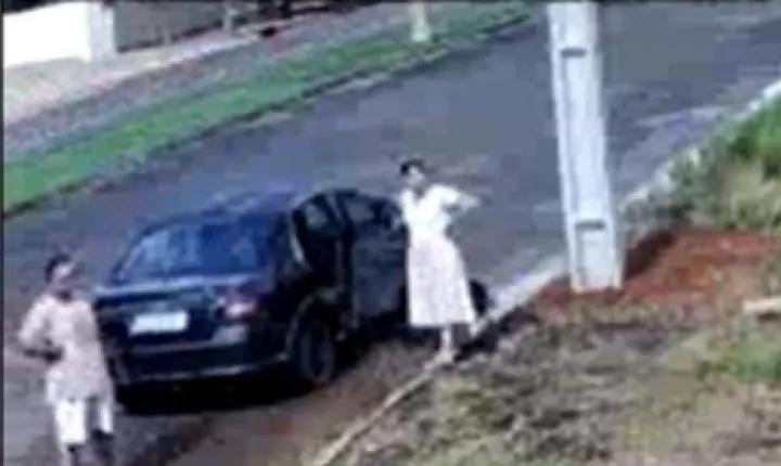 Mesmo após recusa, casal deixa cães em abrigo e vira alvo de ação do MP