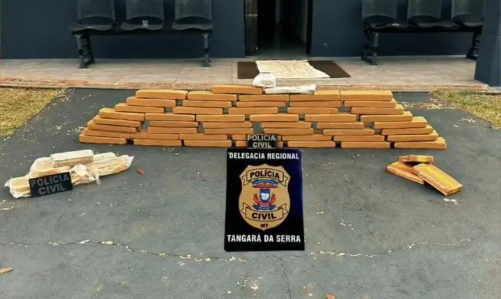 Polícia Civil apreende grande carregamento de drogas na BR-364 em Sapezal