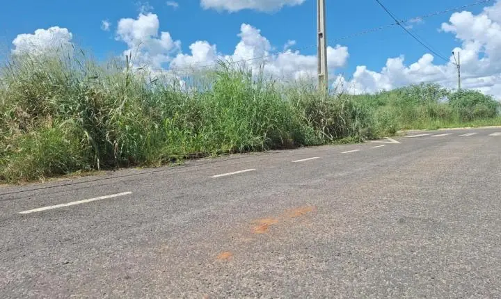 “Romance” em via pública vira dor de cabeça para moradores no Jardim Irene, em Sapezal