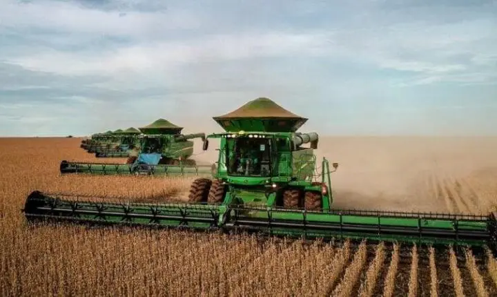 Sapezal supera Sorriso e assume liderança nacional em valor da produção agrícola