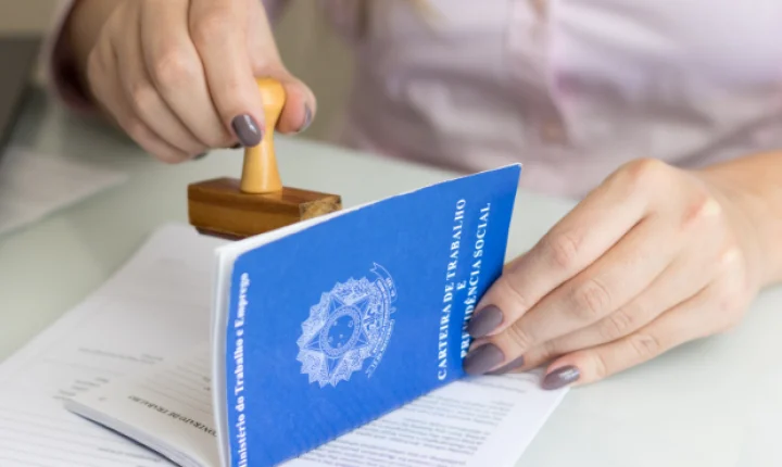 Sapezal tem quase 100 vagas de emprego abertas em diferentes setores